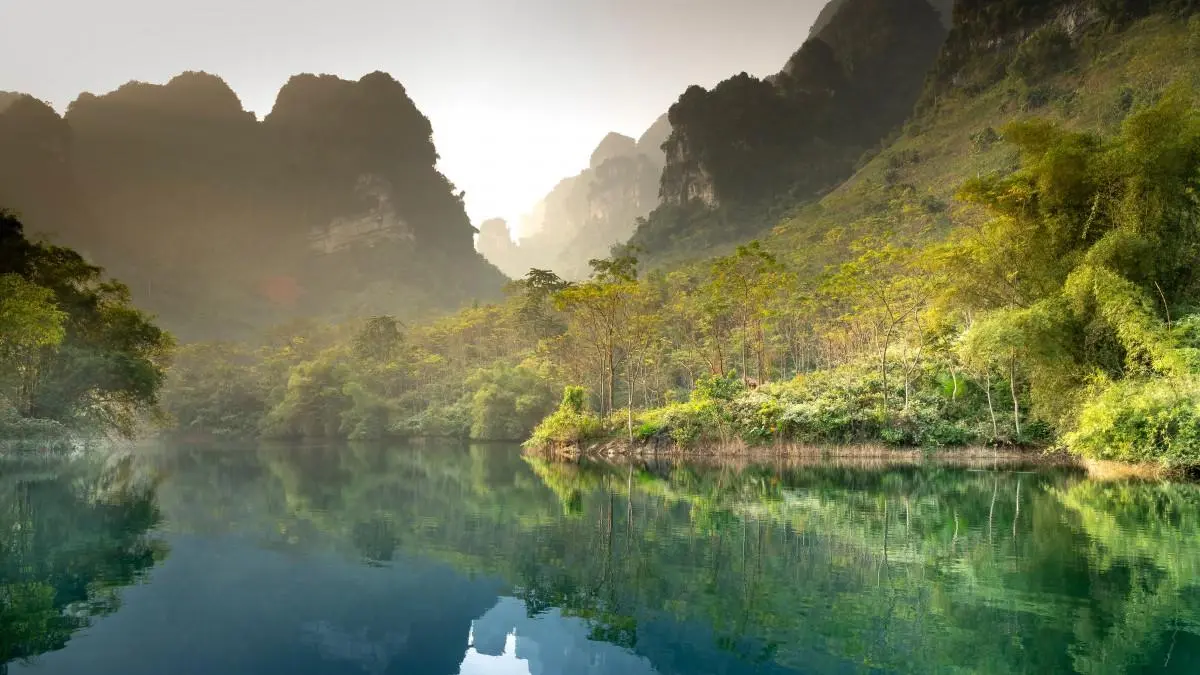 高效高性能可靠性